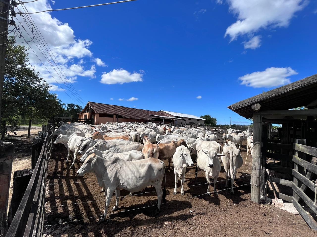 Fazenda à venda - Foto 40