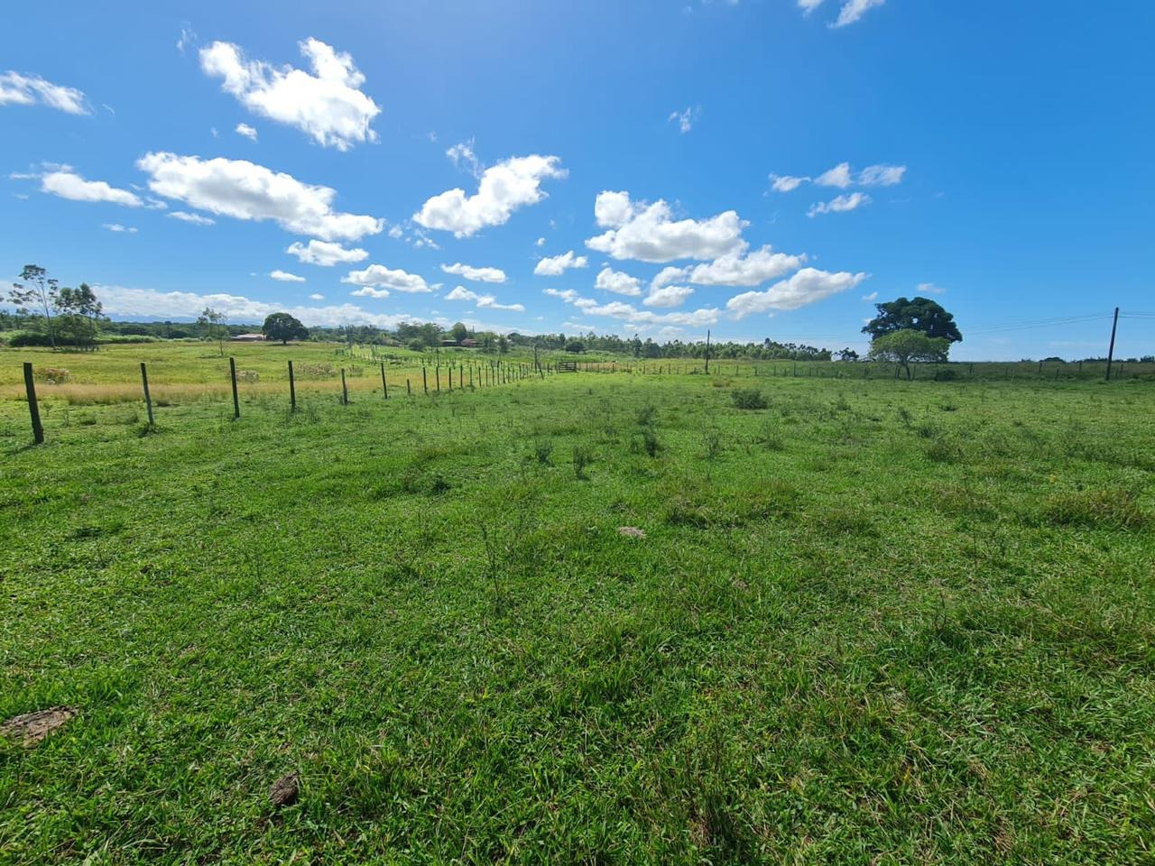 Fazenda à venda - Foto 47