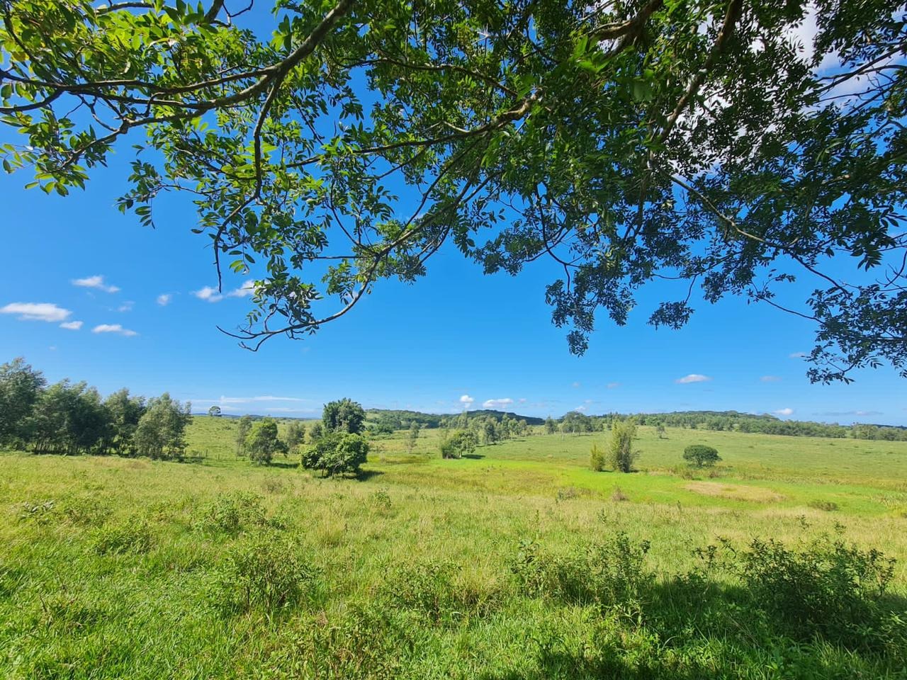 Fazenda à venda - Foto 42