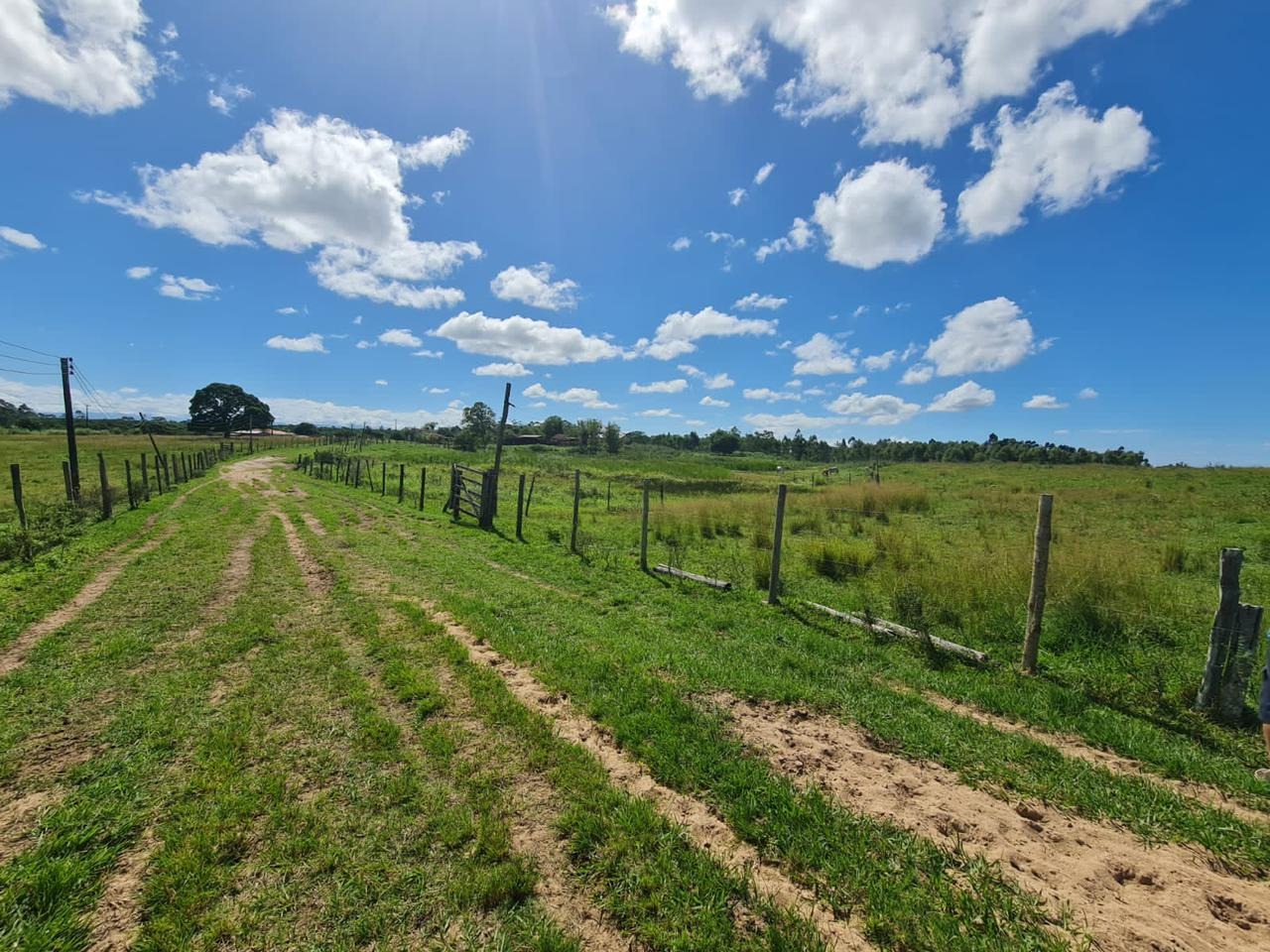 Fazenda à venda - Foto 63