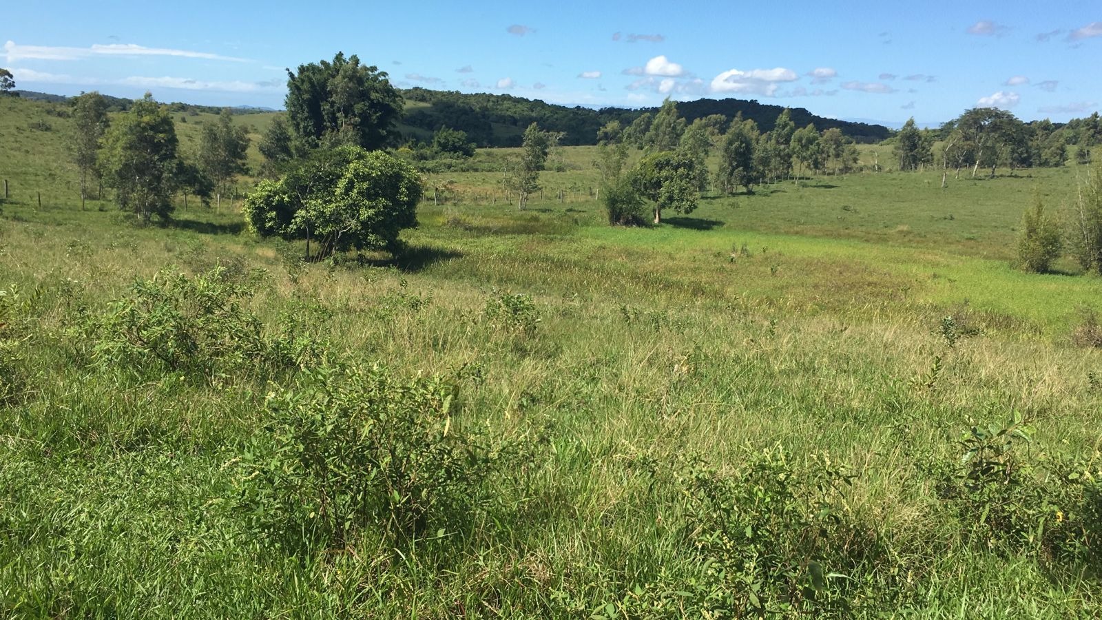 Fazenda à venda - Foto 4