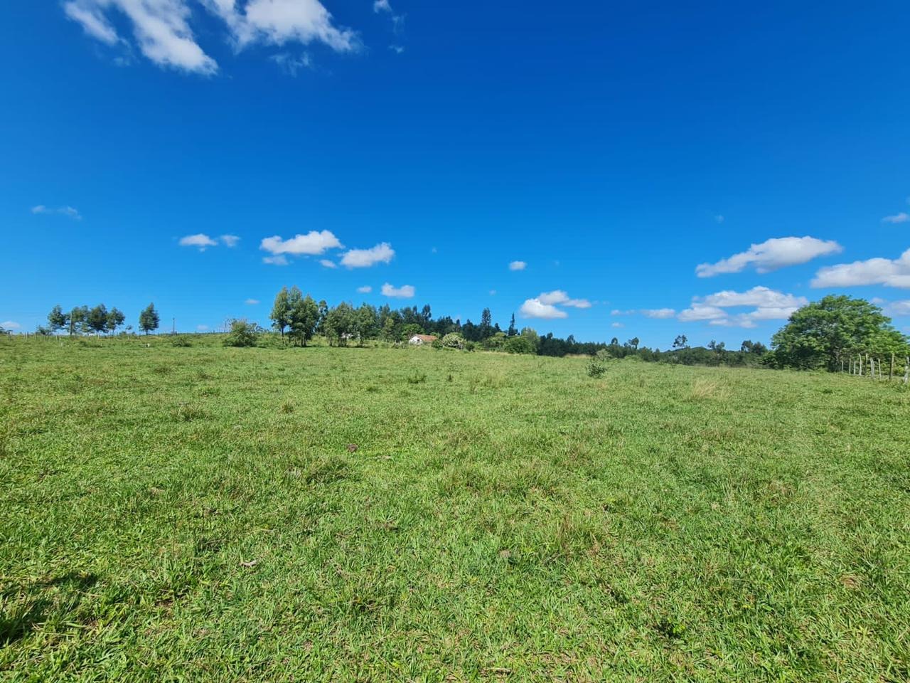 Fazenda à venda - Foto 46