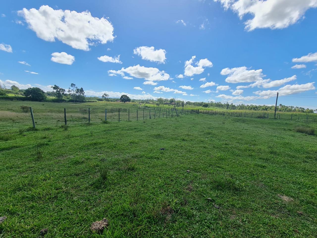 Fazenda à venda - Foto 49