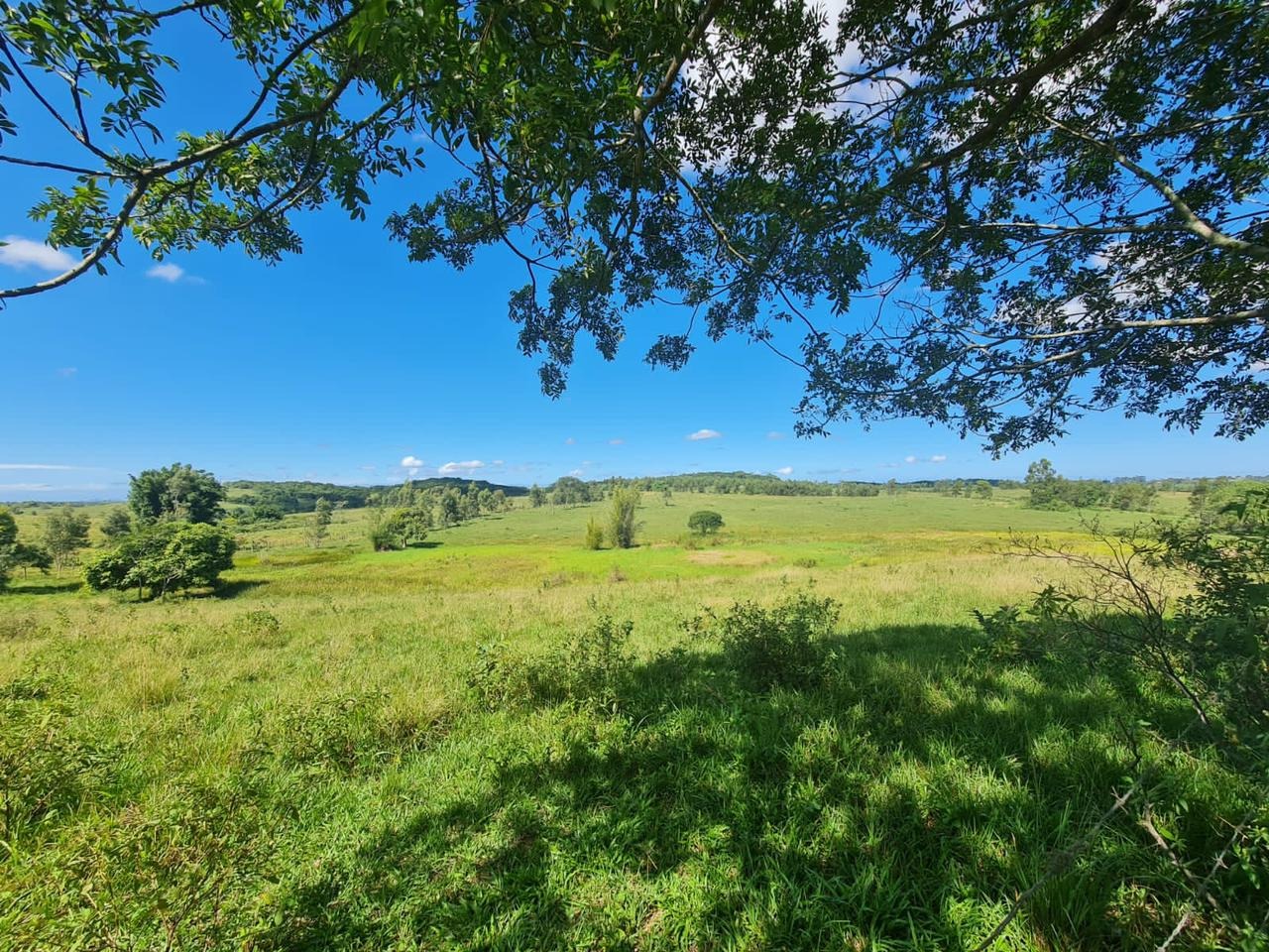 Fazenda à venda - Foto 45