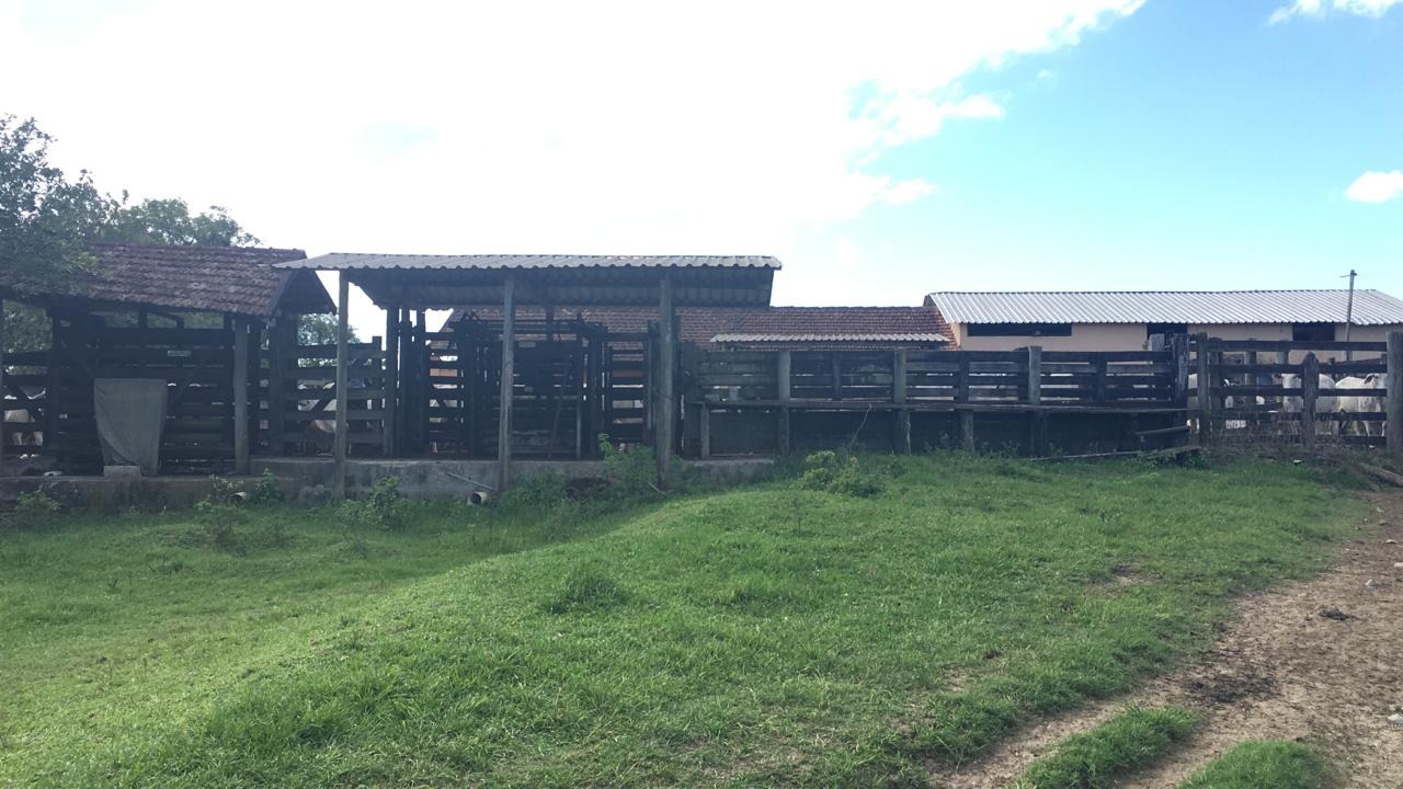 Fazenda à venda - Foto 6