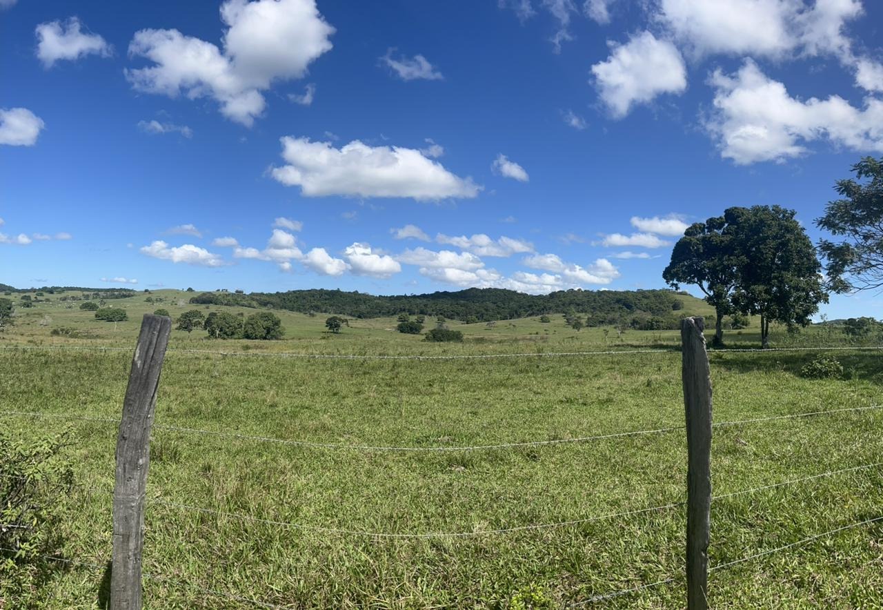 Fazenda à venda - Foto 18