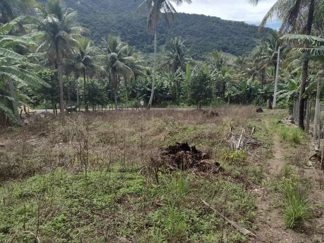 Terreno à venda, 1000m² - Foto 7