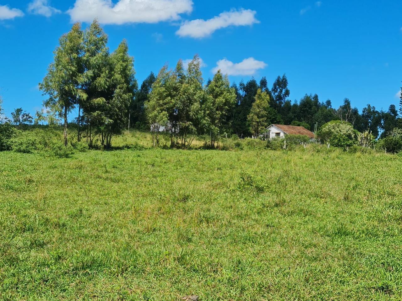 Fazenda à venda - Foto 44