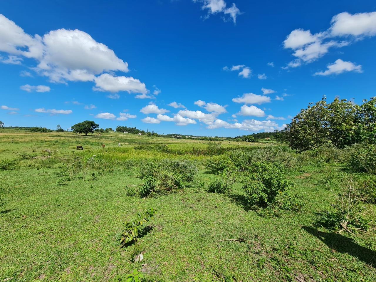 Fazenda à venda - Foto 56