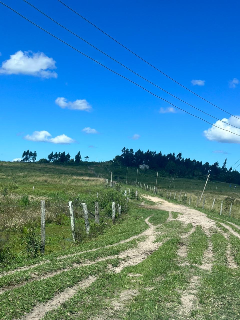 Fazenda à venda - Foto 31