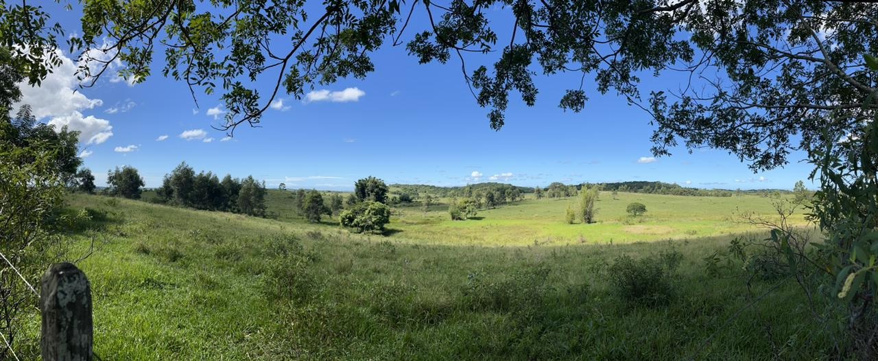 Fazenda à venda - Foto 38