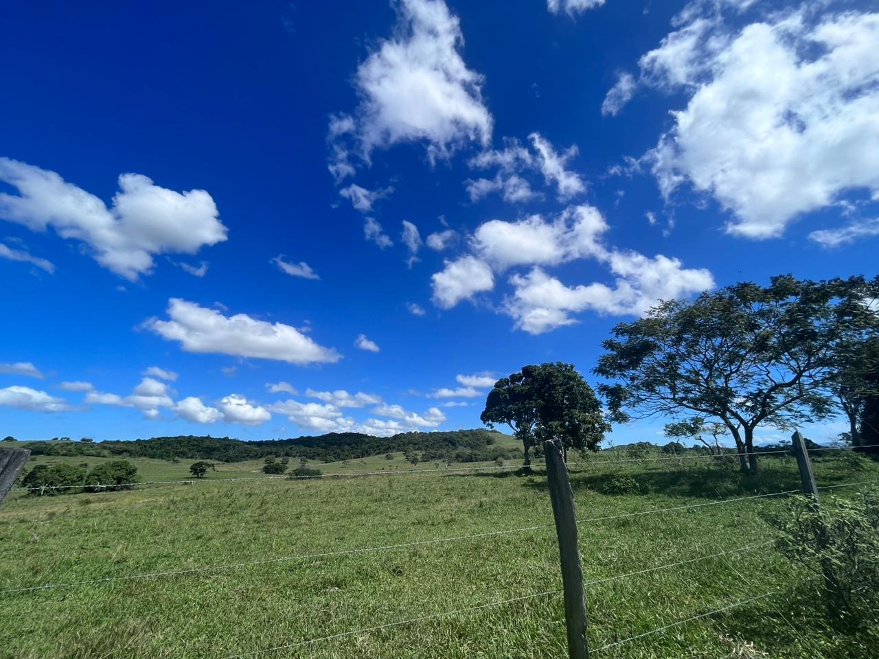 Fazenda à venda - Foto 17