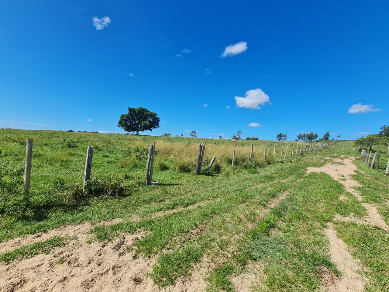 Fazenda à venda - Foto 48