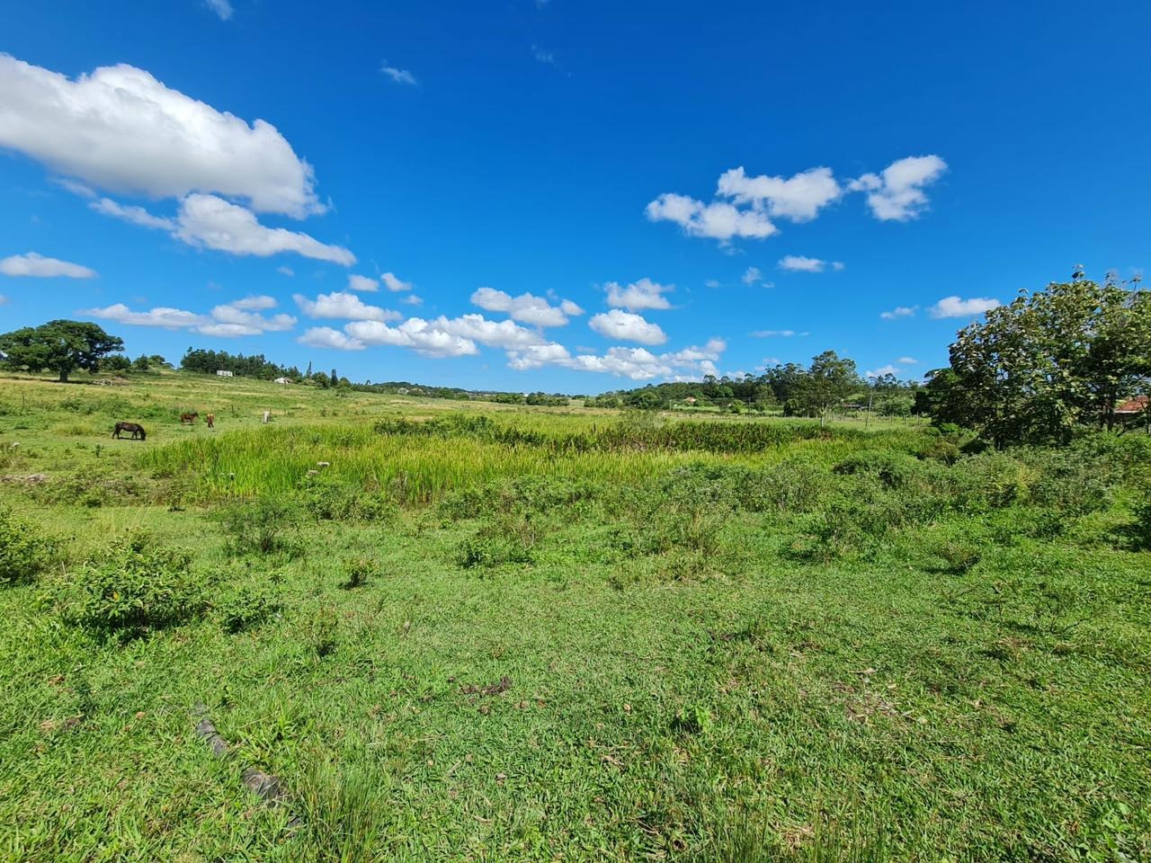 Fazenda à venda - Foto 70