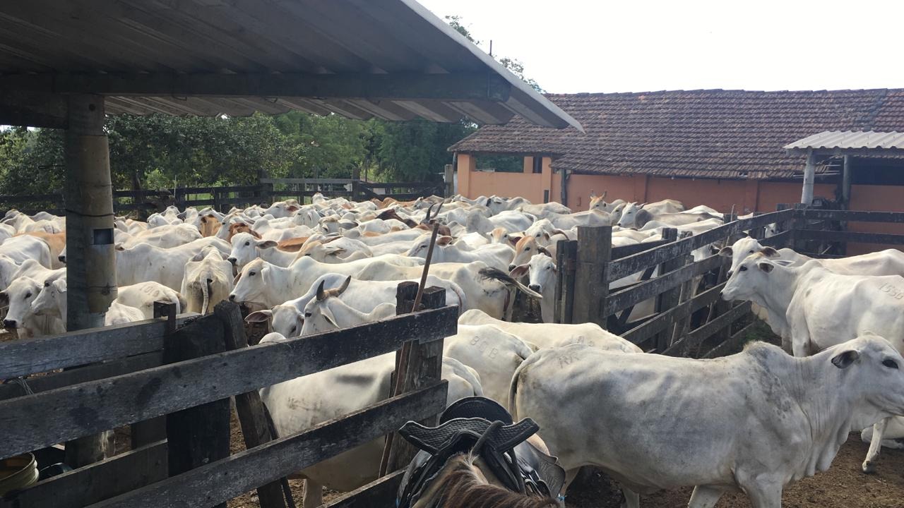 Fazenda à venda - Foto 9