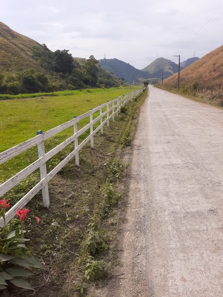 Haras e Área Rural Padrão à venda - Foto 18