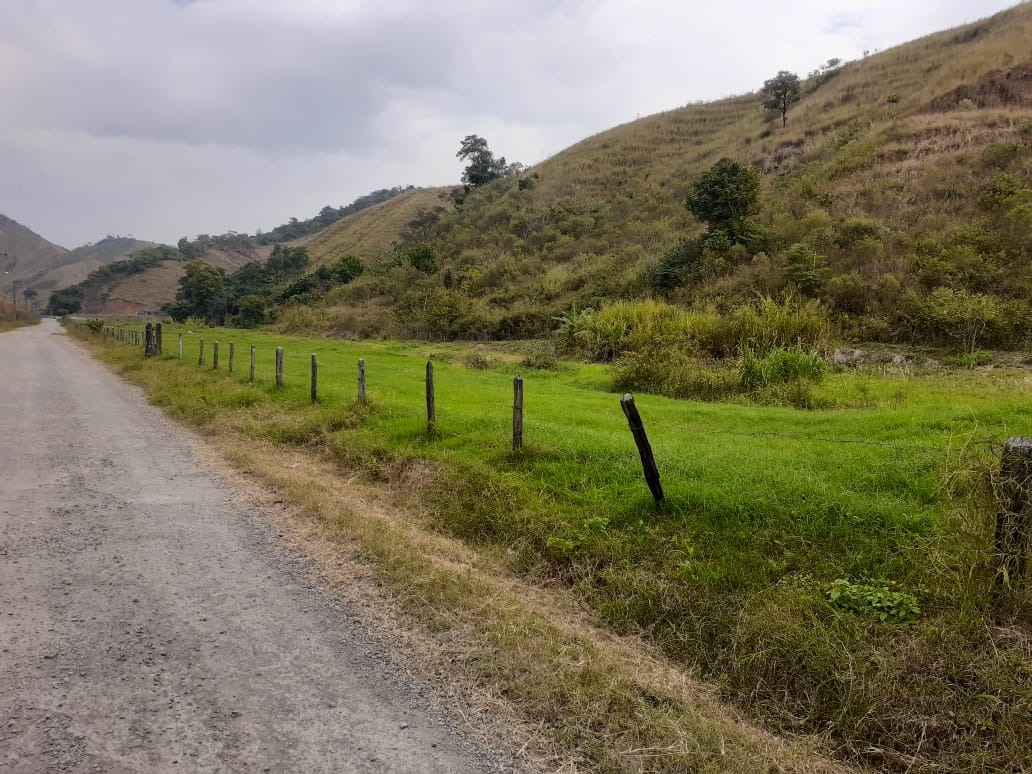 Haras e Área Rural Padrão à venda - Foto 2