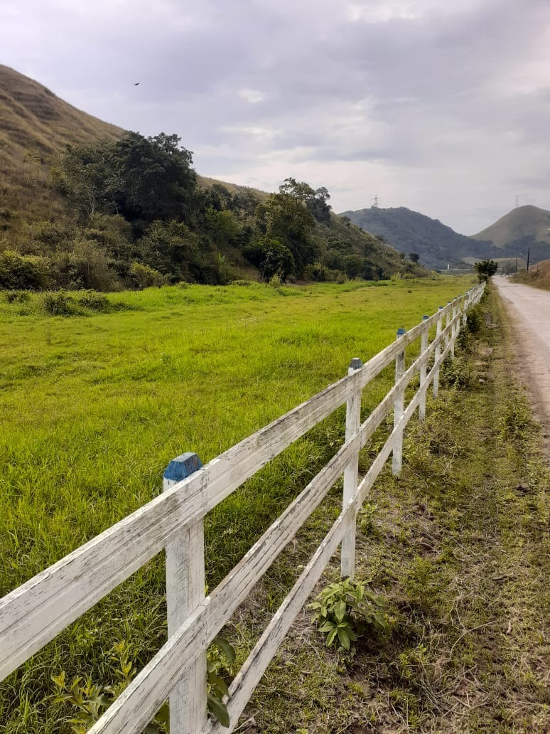 Haras e Área Rural Padrão à venda - Foto 8