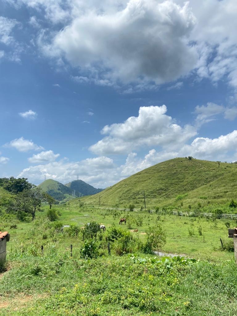 Haras e Área Rural Padrão à venda - Foto 7