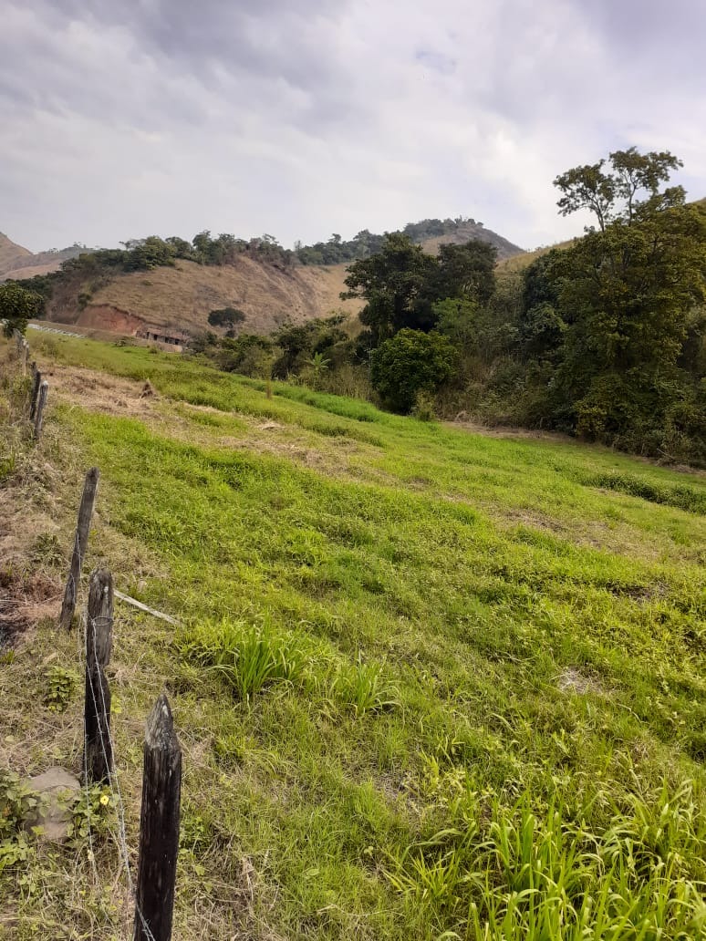 Haras e Área Rural Padrão à venda - Foto 19