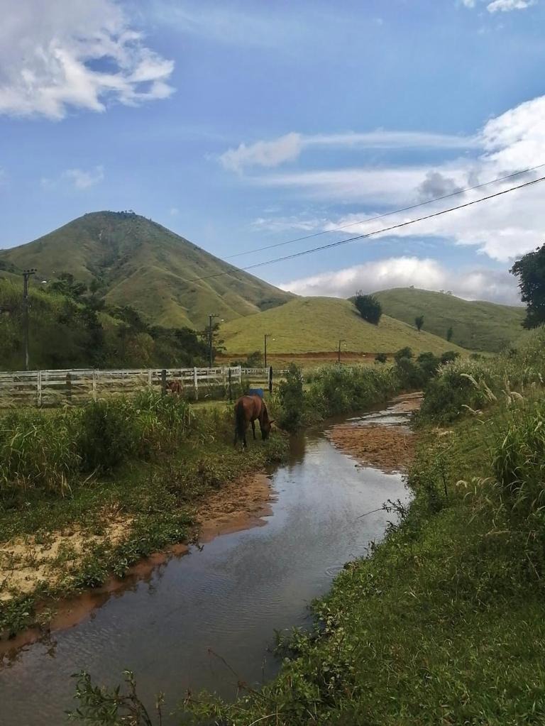 Haras e Área Rural Padrão à venda - Foto 9