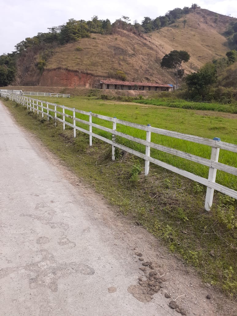 Haras e Área Rural Padrão à venda - Foto 1