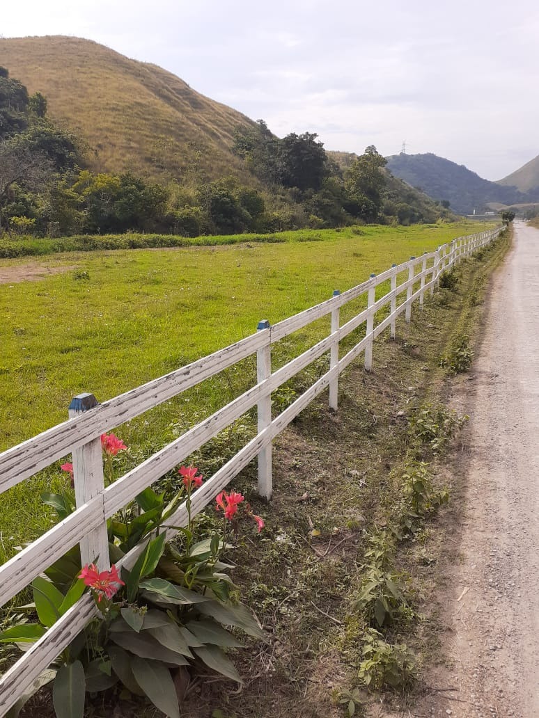 Haras e Área Rural Padrão à venda - Foto 3