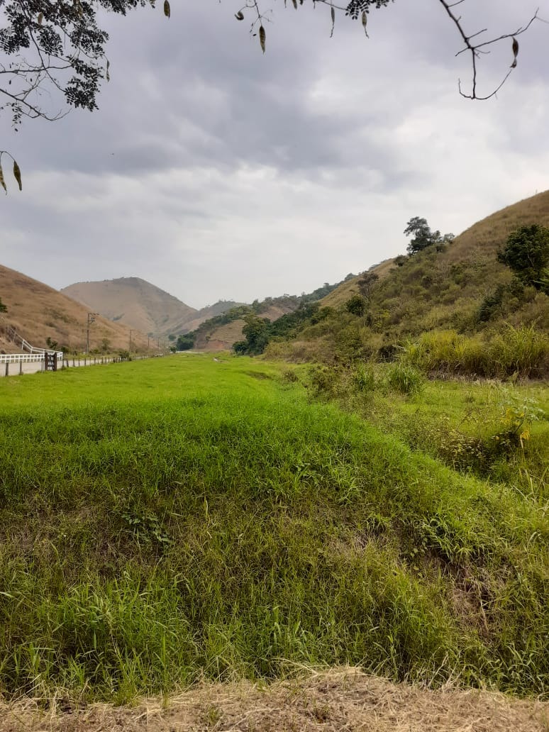 Haras e Área Rural Padrão à venda - Foto 6