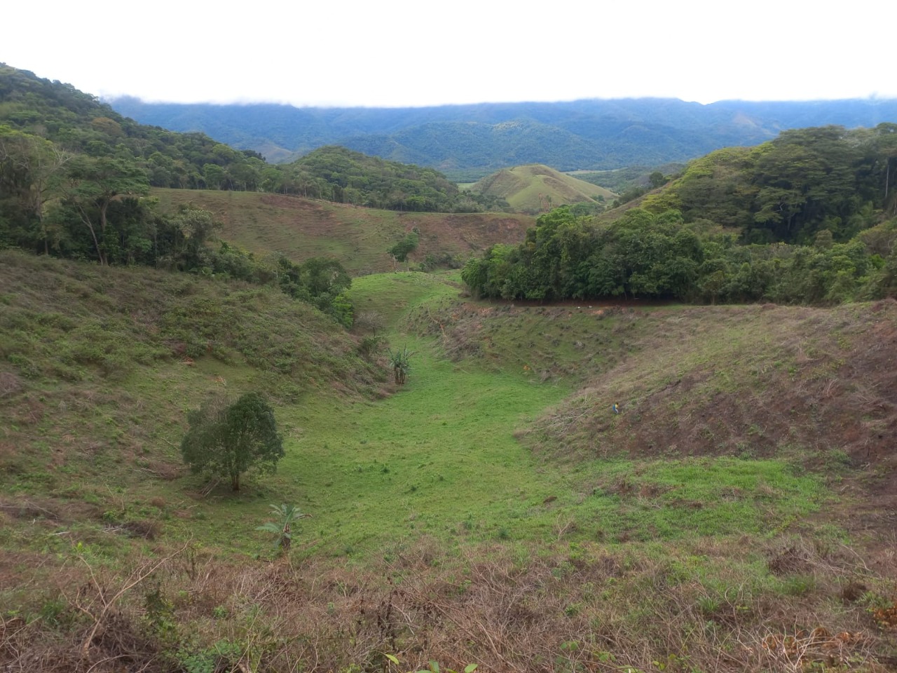 Fazenda, 3 quartos - Foto 4