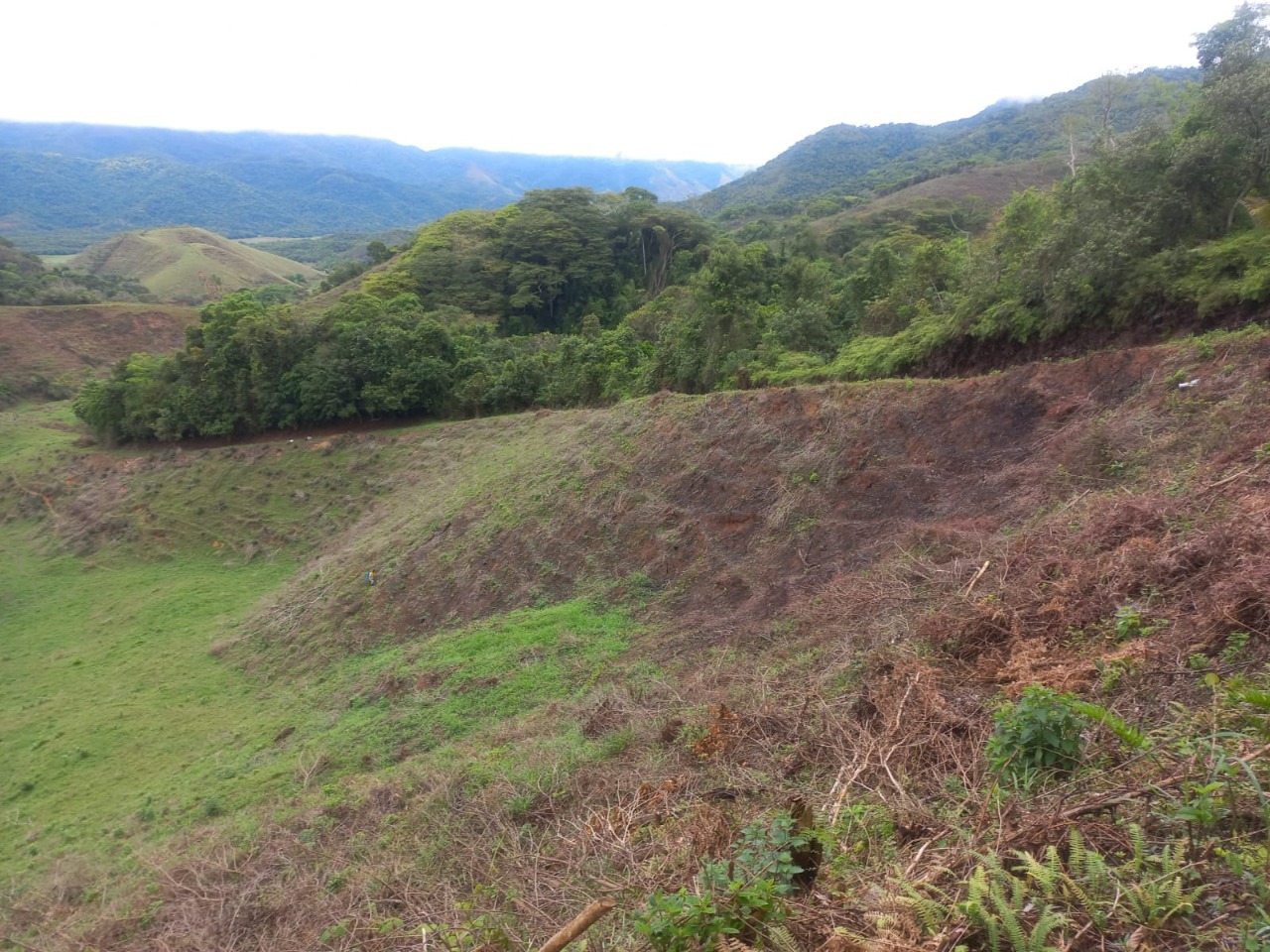 Fazenda, 3 quartos - Foto 9