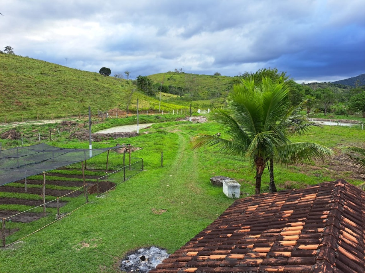 Sítio à venda com 4 quartos - Foto 6