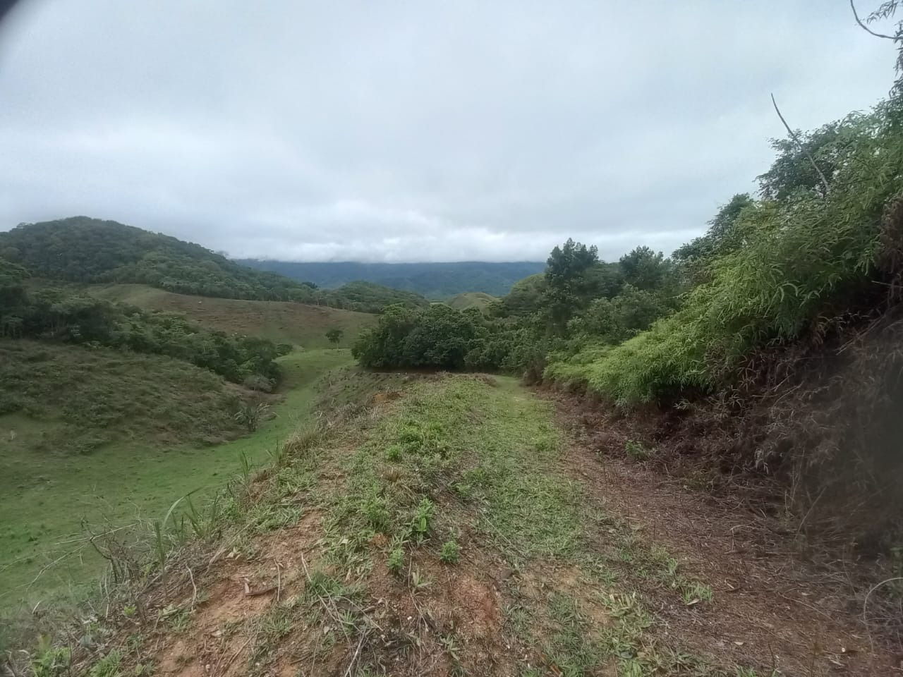 Fazenda, 3 quartos - Foto 6