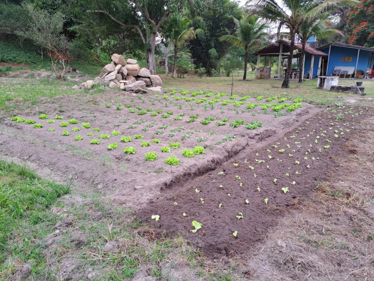 Sítio à venda com 4 quartos - Foto 4