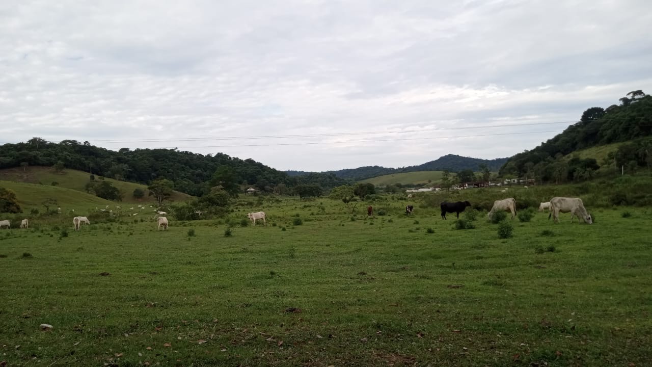 Fazenda à venda com 8 quartos - Foto 32