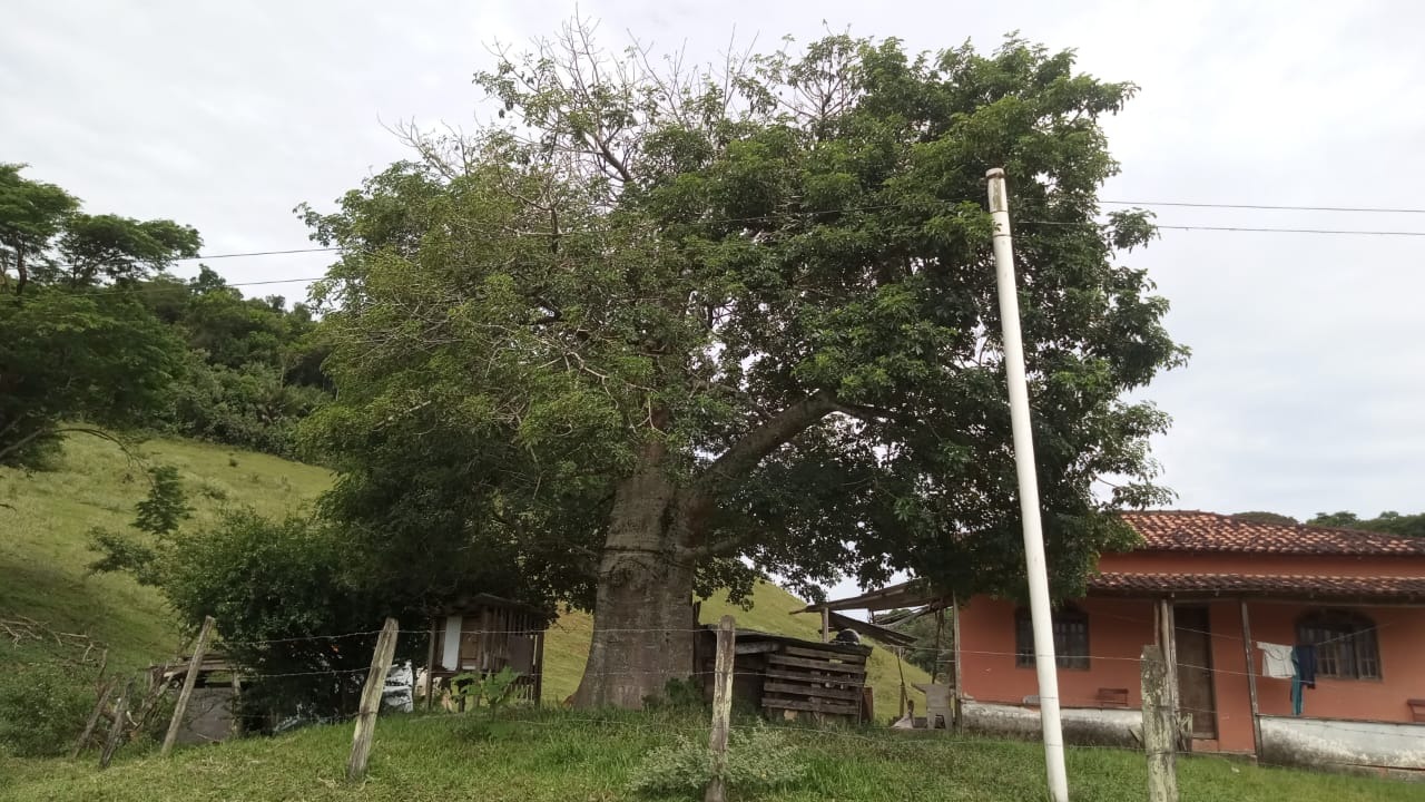 Fazenda à venda com 8 quartos - Foto 12