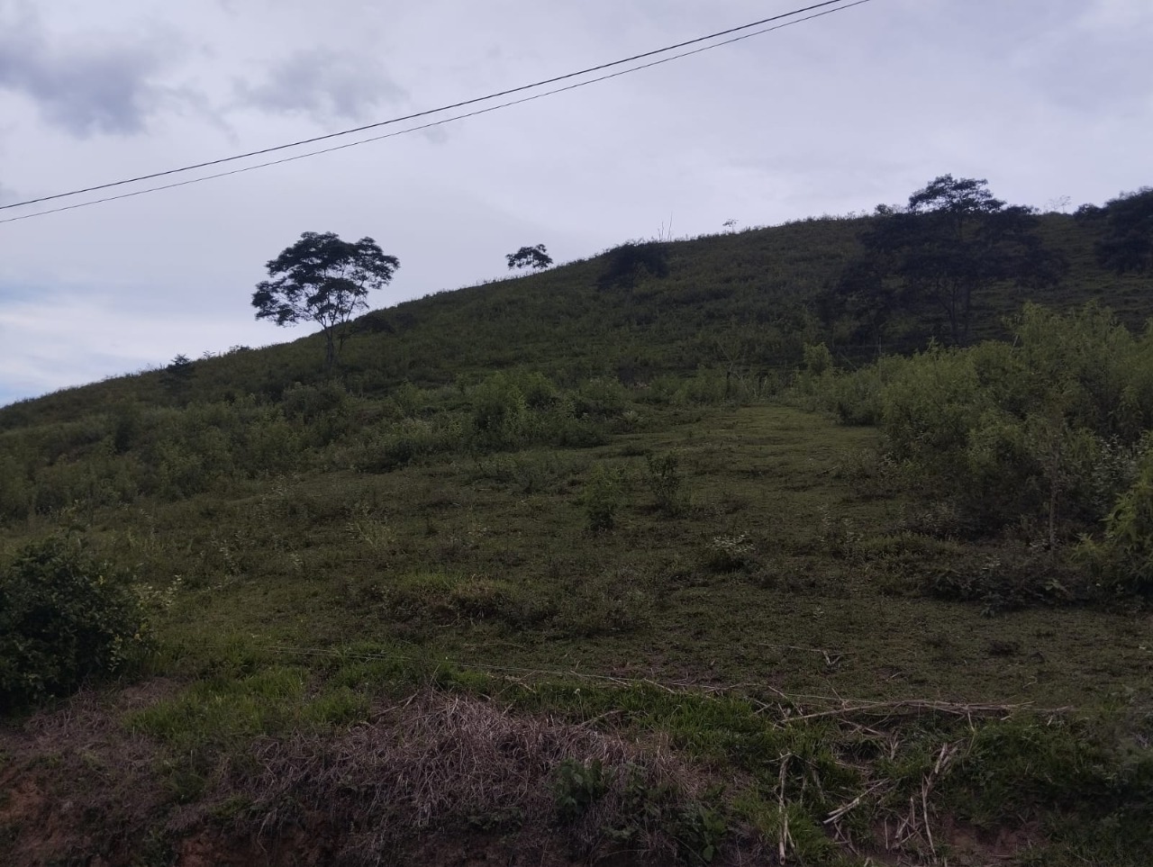 Fazenda à venda com 4 quartos - Foto 12