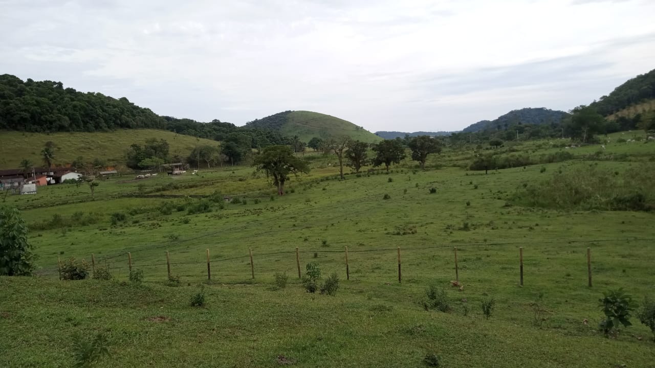 Fazenda à venda com 8 quartos - Foto 17