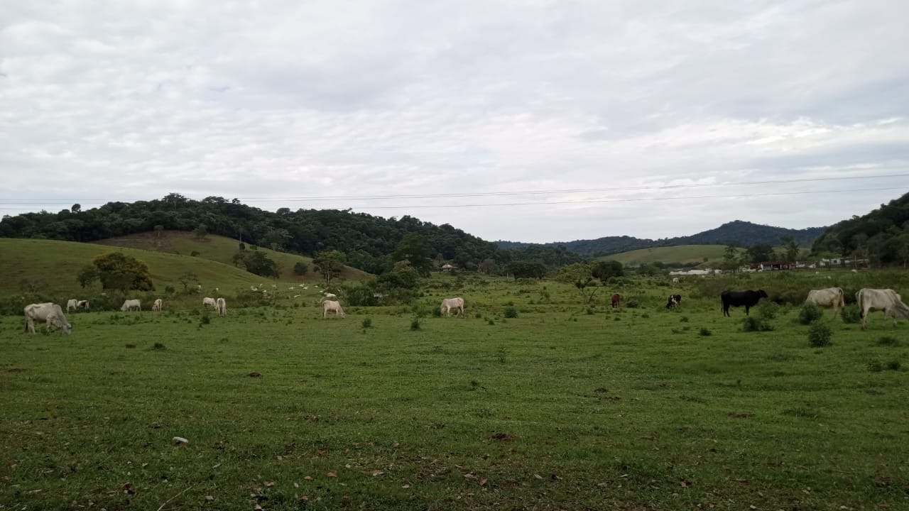 Fazenda à venda com 8 quartos - Foto 33