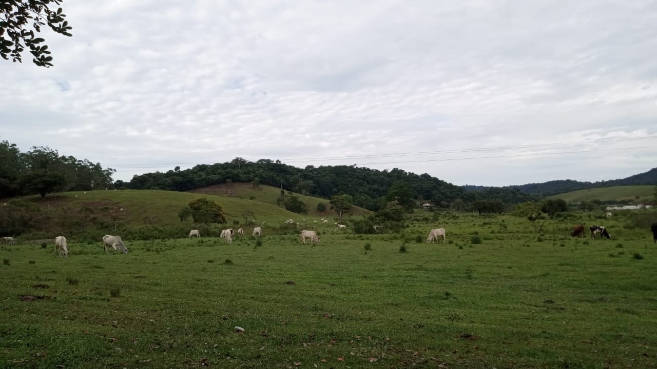 Fazenda à venda com 8 quartos - Foto 31