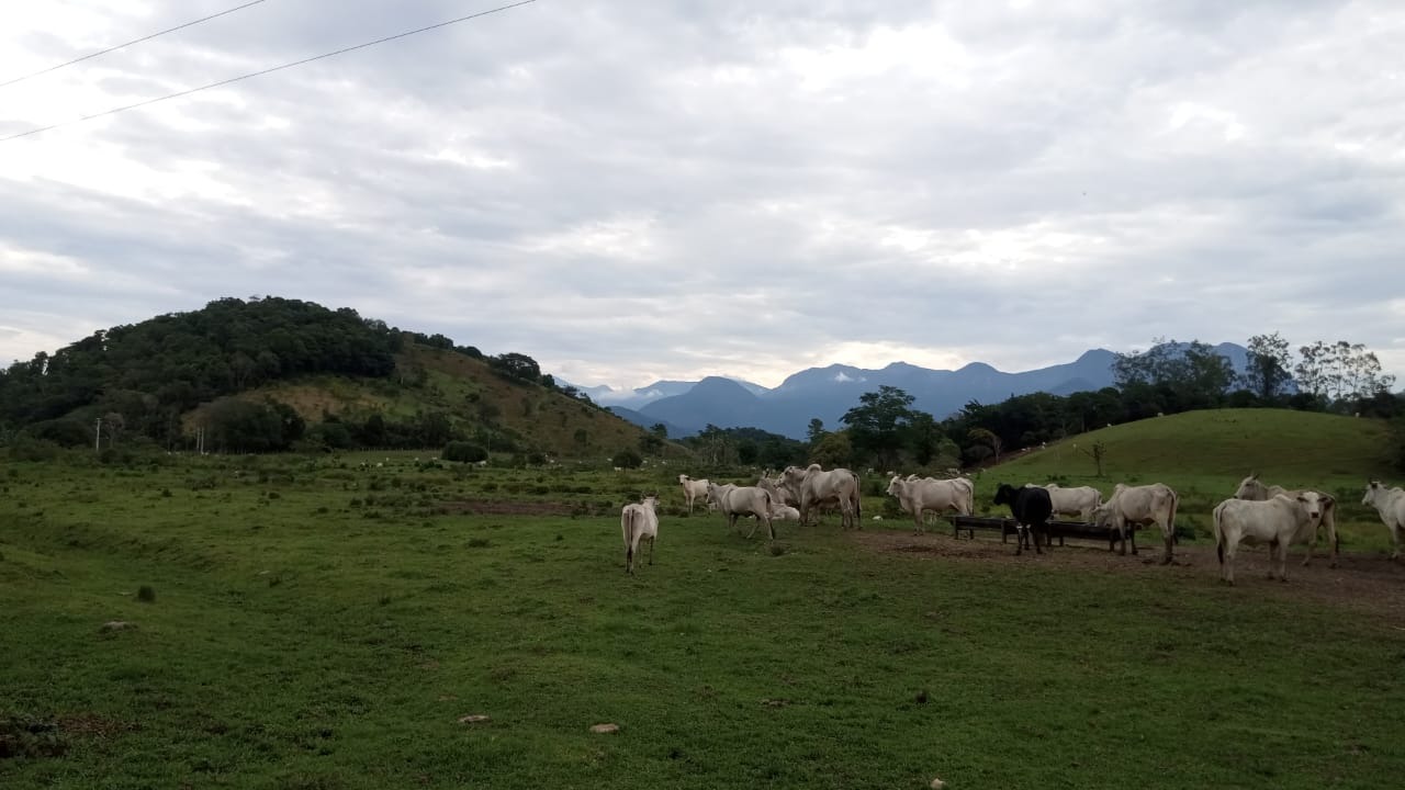 Fazenda à venda com 8 quartos - Foto 24