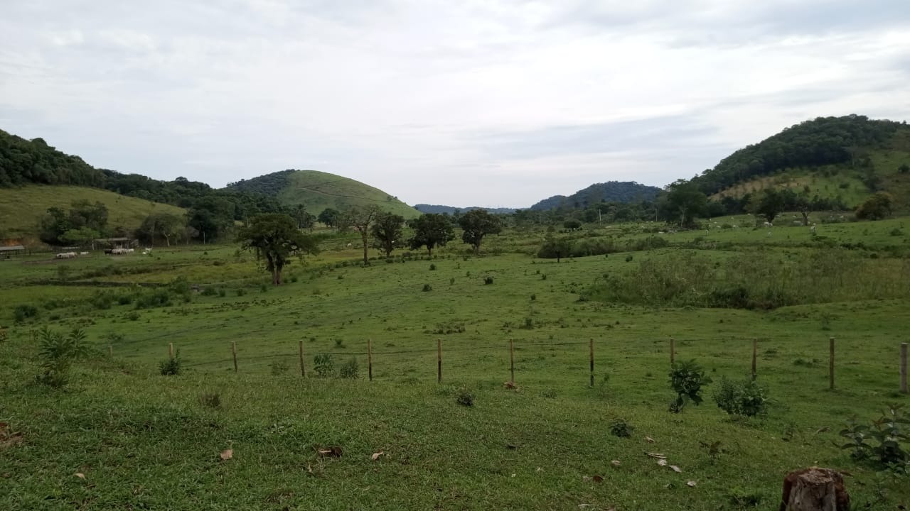 Fazenda à venda com 8 quartos - Foto 23