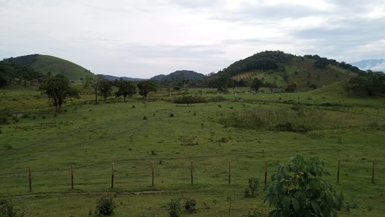 Fazenda à venda com 8 quartos - Foto 18