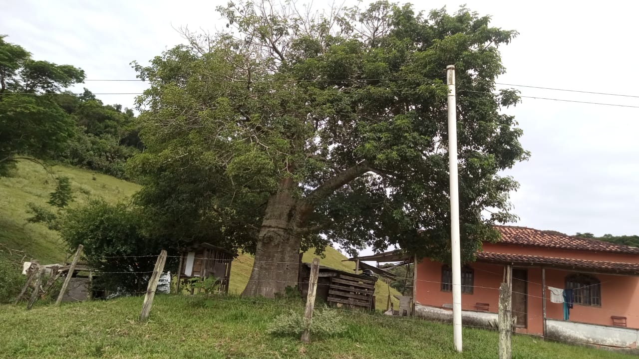 Fazenda à venda com 8 quartos - Foto 8