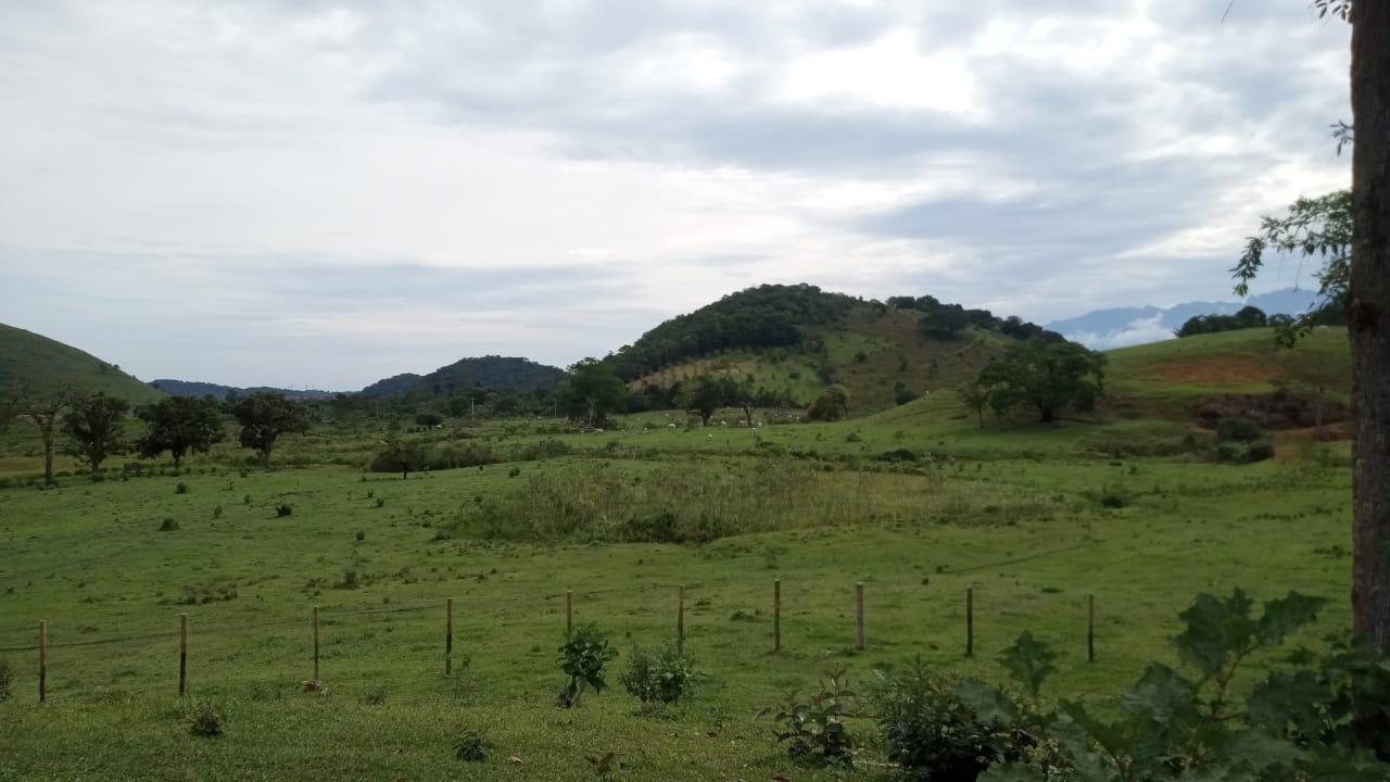 Fazenda à venda com 8 quartos - Foto 21