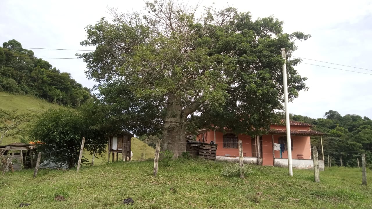 Fazenda à venda com 8 quartos - Foto 7