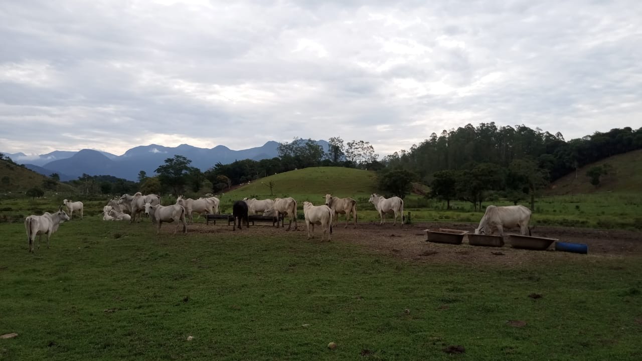 Fazenda à venda com 8 quartos - Foto 26