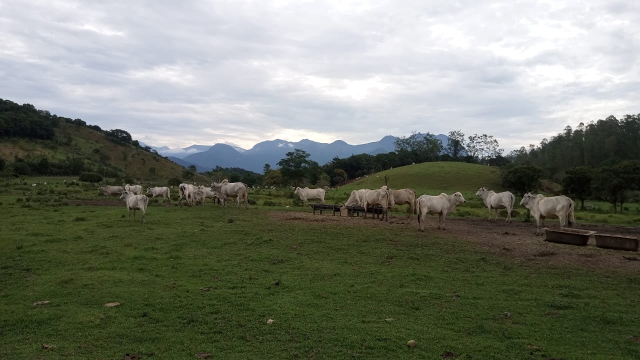 Fazenda à venda com 8 quartos - Foto 28