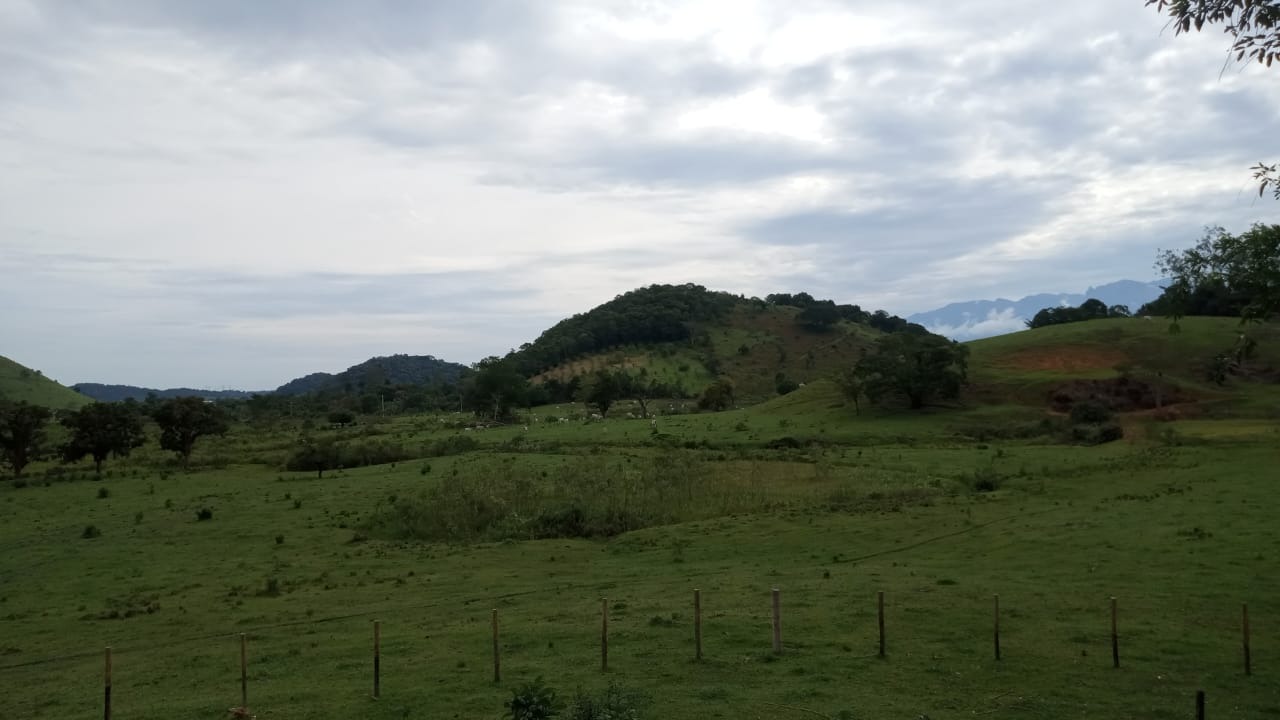 Fazenda à venda com 8 quartos - Foto 19