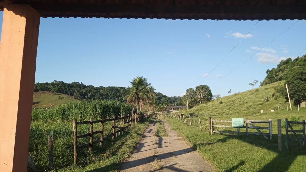 Fazenda à venda com 8 quartos - Foto 5