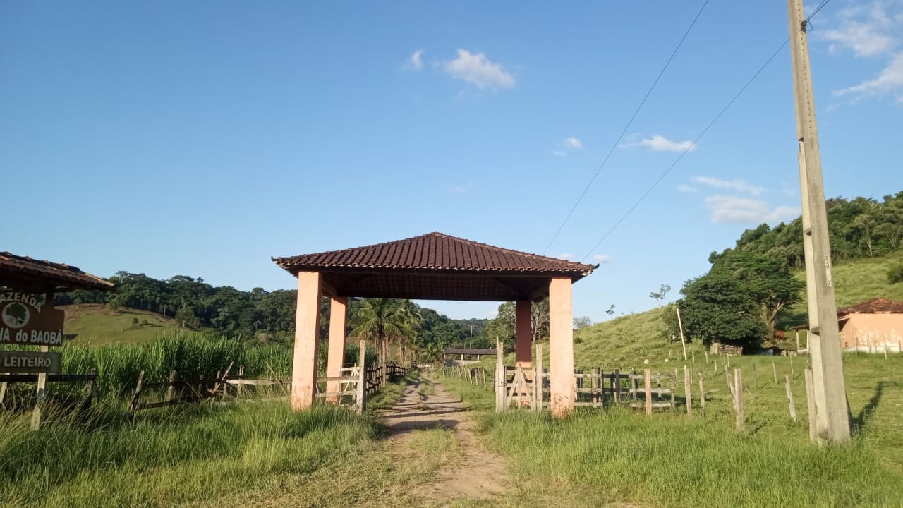 Fazenda à venda com 8 quartos - Foto 1